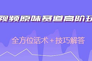 短视频原味赛道高阶玩法揭秘,全方位话术+技巧解答