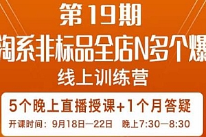 打造淘系非标全店N多个爆款班线上训练营课程分享