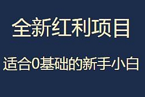 全新红利项目课程教学揭秘,适合0基础的新手小白