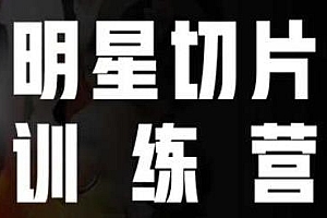 王子·明星切片线上训练营,让明星为我们赚钱
