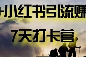 AI+小红书暴力变现打卡营,从想赚钱到赚到钱