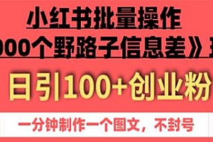 1000个野路子信息差小红书玩法,日引100+创业粉
