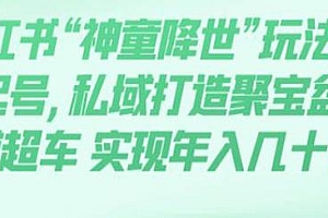 小红书“神童降世”暴力起号变现项目揭秘,私域打造聚宝盆