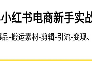 小红书电商新手实战课程,从开店到变现全流程