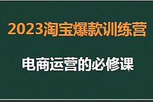 2023淘宝爆款训练营第2期,电商运营必修课