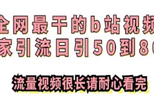 B站视频独家引流技术,日引50到80+