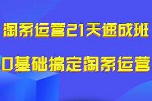淘系运营21天速成班,快速复制落地,0基础搞定淘系运营