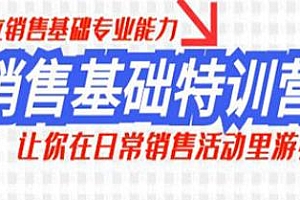 销售基础特训营,建立销售基础专业能力