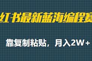 小红书最新蓝海编程赛道玩法揭秘,月入2W+