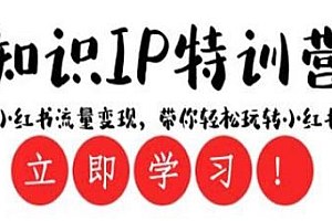 小红书流量变现知识ip特训营,带你轻松玩赚小红书