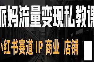 派妈流量变现私教课,小红书赛道
