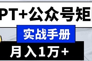 AI流量主系统课程揭秘,GPT+公众号矩阵实战手册分享