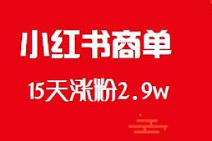小红书商单玩法揭秘,15天涨粉2.9w
