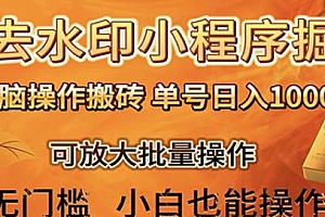靠去水印小程序无脑搬砖玩法揭秘,日入1000+