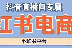 小红书电商高级运营教程