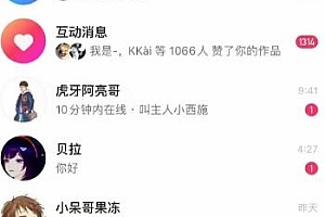 蓝海项目揭秘,小白首选副业