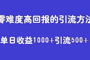 零难度高回报的引流方法揭秘,单日收益1000+