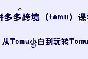 拼多多跨境实战(temu),从Temu小白到玩转Temu