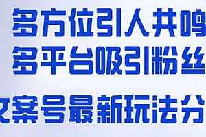 最新文案号多方位共鸣玩法揭秘