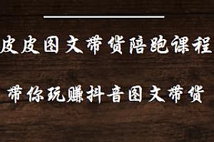 皮皮图文带货陪跑课程,玩赚抖音图文带货