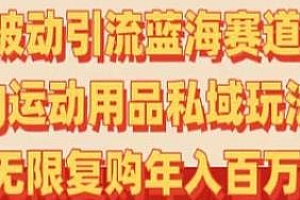 被动引流蓝海赛道AJ运动用品玩法揭秘