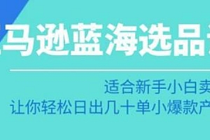 亚马逊-蓝海选品课,日出几十单小爆款产品,适合新手卖家
