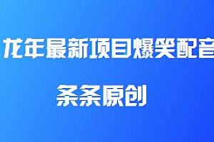 龙年最新项目爆笑配音玩法揭秘