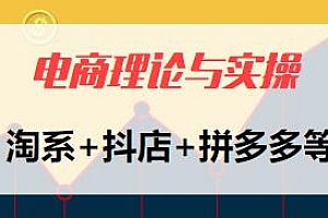 电商理论与实操教程,淘系+抖店+拼多多等