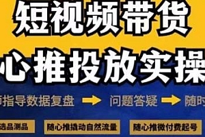 2024抖音好物分享随心推投放实操课
