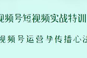 视频号运营与传播心法,视频号短视频实战特训营