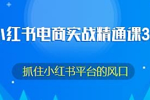 小红书电商实战精通课3.0教程