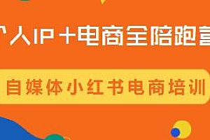 个人IP+电商全陪跑营,小红书电商培训