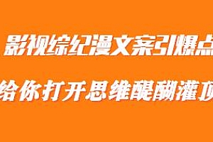 影视综纪漫文案引爆点,255种开头详解课