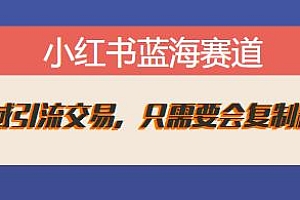 小红书蓝海赛道,短剧私域引流交易玩法揭秘