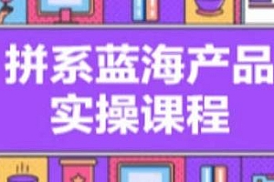 拼系冷门蓝海产品实操课程,拼多多选品到维护