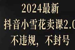 2024最新抖音小雪花卖课2.0玩法揭秘