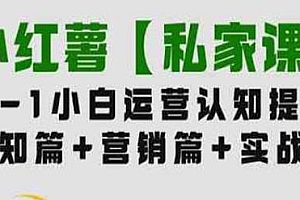小红薯私家课,0-1小白运营认知提升,小红书教程