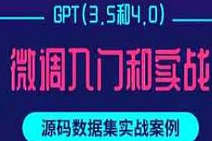 GPT(3.5和4.0)微调入门实战课