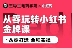 王导主·小红书电商运营实操课