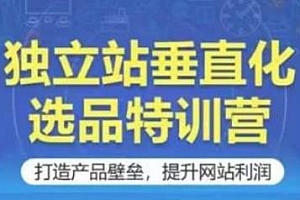 独立站垂直化选品特训营,教你提升网站利润