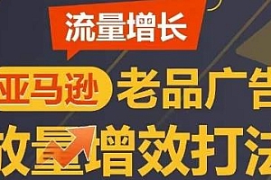 流量增长 亚马逊老品广告放量增效打法课程
