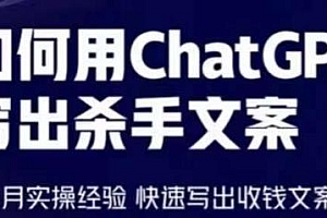 用ChatGPT写出杀手文案,6个月实操经验分享