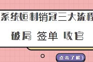 系统复制销冠三大流程,金牌销冠三步曲