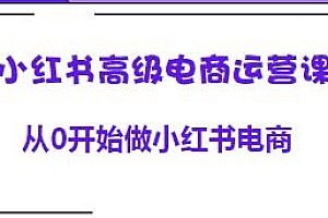 小红书高级电商运营课教程
