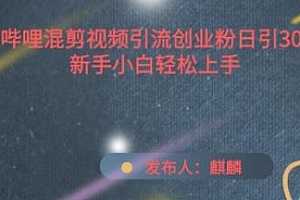 哔哩哔哩混剪引流创业粉日引300+玩法揭秘