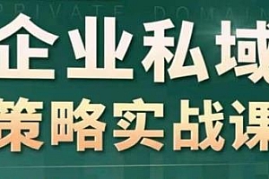 私域2.0:企业私域策略实战课