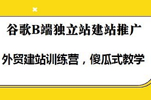 谷歌B端独立站建站推广傻瓜式教学