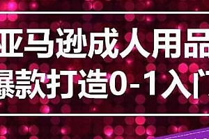亚马逊成人用品爆款打造从0-1系统化讲解