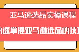 亚马逊选品实操课程,快速掌握亚马逊选品的技巧