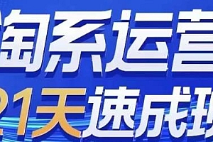 淘系运营21天速成班(更新24年5月),淘宝运营